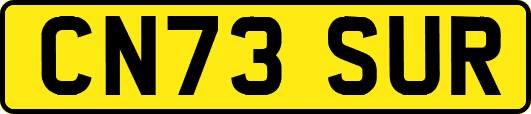 CN73SUR