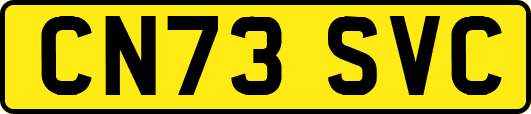 CN73SVC