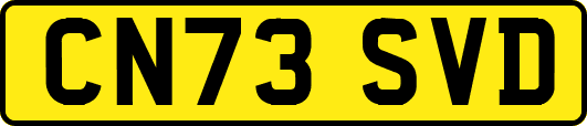 CN73SVD