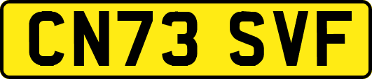CN73SVF