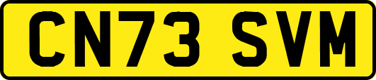 CN73SVM