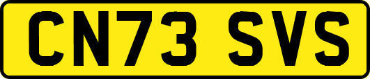 CN73SVS