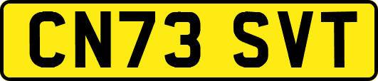 CN73SVT