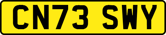 CN73SWY