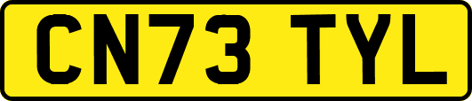 CN73TYL