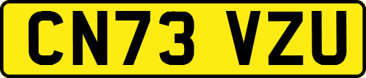 CN73VZU
