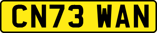 CN73WAN