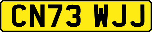 CN73WJJ