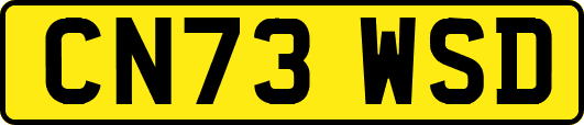 CN73WSD