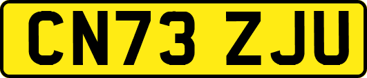 CN73ZJU