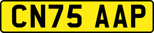 CN75AAP