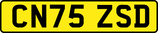 CN75ZSD