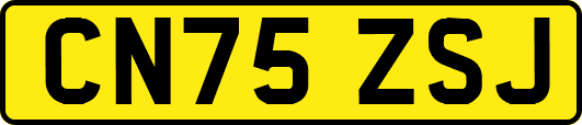 CN75ZSJ