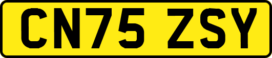 CN75ZSY