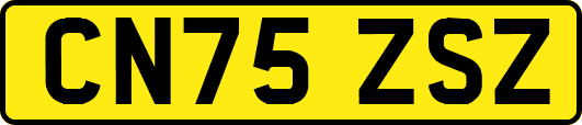 CN75ZSZ