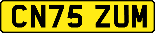 CN75ZUM