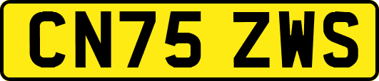CN75ZWS