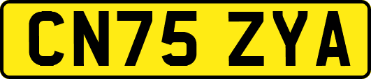 CN75ZYA