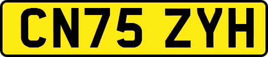 CN75ZYH