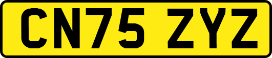 CN75ZYZ