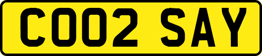 CO02SAY