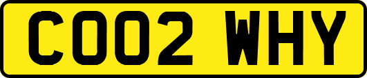 CO02WHY