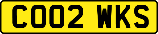 CO02WKS