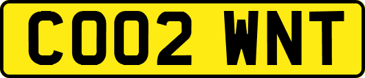 CO02WNT