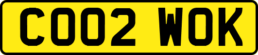 CO02WOK