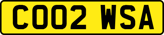 CO02WSA
