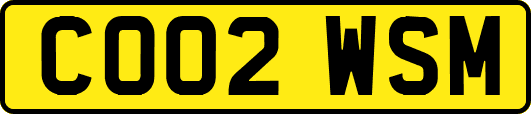 CO02WSM