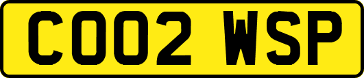 CO02WSP