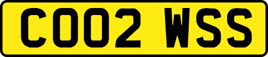CO02WSS