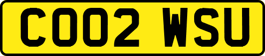 CO02WSU