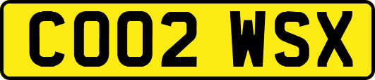 CO02WSX