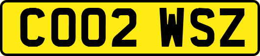 CO02WSZ