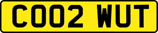 CO02WUT