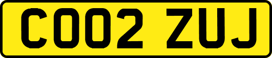 CO02ZUJ