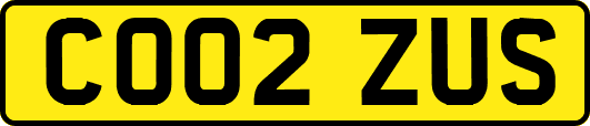 CO02ZUS