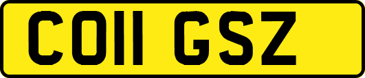 CO11GSZ