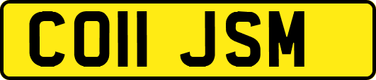 CO11JSM