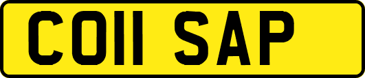 CO11SAP