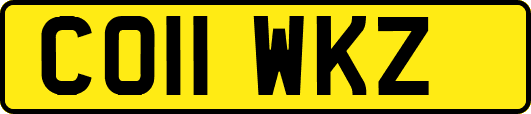 CO11WKZ