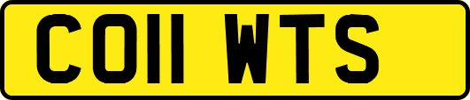 CO11WTS