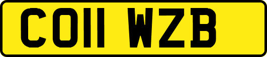 CO11WZB