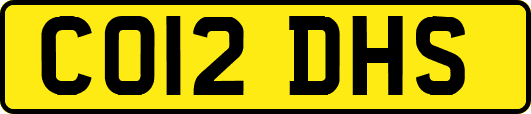 CO12DHS