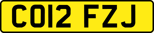 CO12FZJ