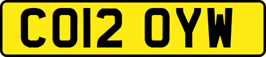CO12OYW