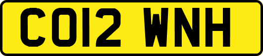 CO12WNH
