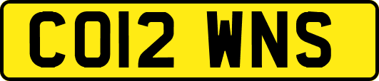 CO12WNS